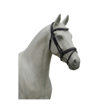 Testiera SARM HIPPIQUE TI481