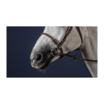 Capezzina DYON in corda rivestita in pelle - Leather Covered Rope Noseband - D Collection - immagine 2