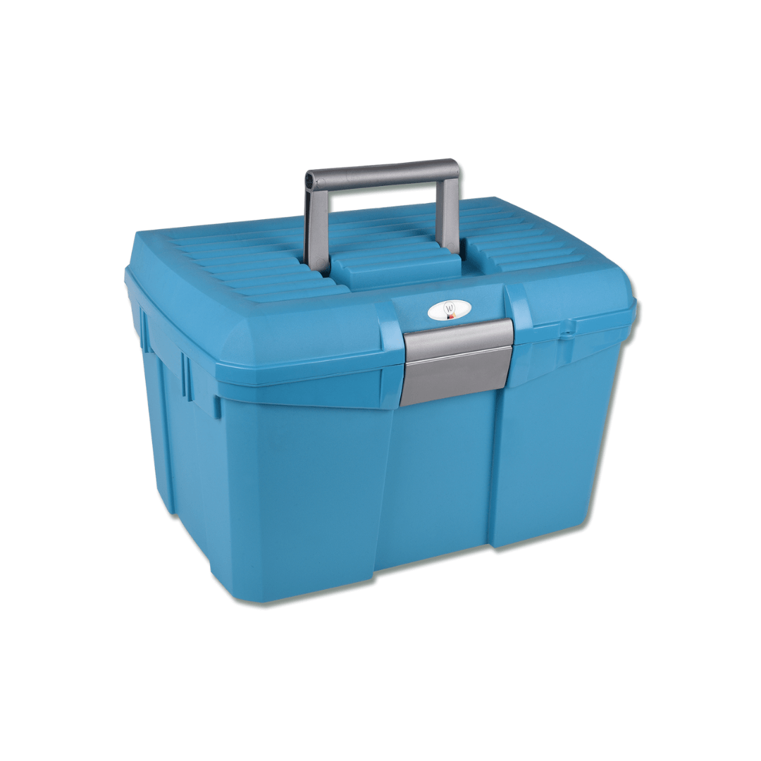 Progetto senza titolo - 2023-06-10T193241.269 Valigetta per kit di pulizia - immagine 1