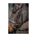 Montanti per Elevatore DYON - Gag Cheekpieces - D Collection - immagine 2