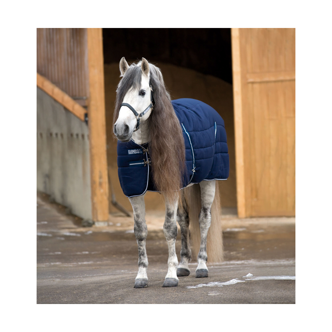Progetto senza titolo - 2023-09-18T122255.269 Coperta HORSEWARE - Rambo 200 gr - immagine 1