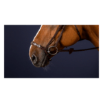 Capezzina tedesca regolabile DYON - Adjustable Drop Noseband - New English Collection - immagine 2