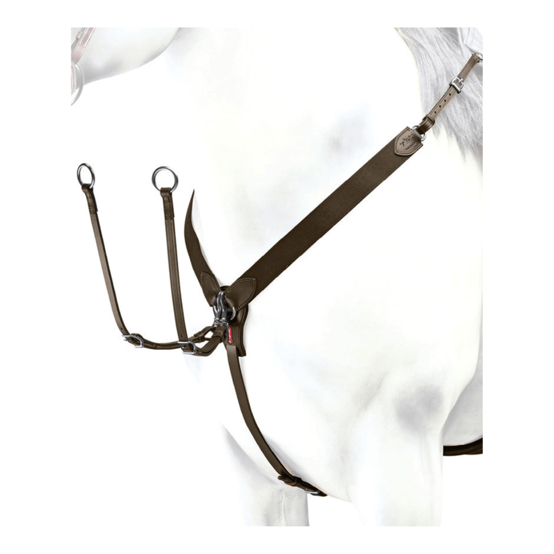 Progetto senza titolo (54) Pettorale con forchette EQUIPE BP01 - immagine 1