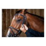 Paraocchi DYON - Blinkers - immagine 2