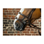 Capezzina doppia DYON - Double Noseband - New English Collection - immagine 2
