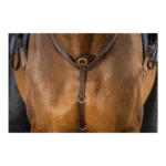 Pettorale da Caccia DYON - Bridge Breastplate - D Collection - immagine 3