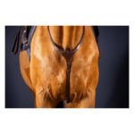 Pettorale da Caccia DYON - Bridge Breastplate - New English Collection - immagine 2