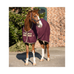 Coperta HORSEWARE in cotone - Amigo - immagine 2