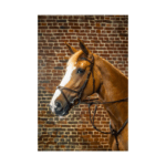 Testiera X Fit DYON - D Collection - immagine 2