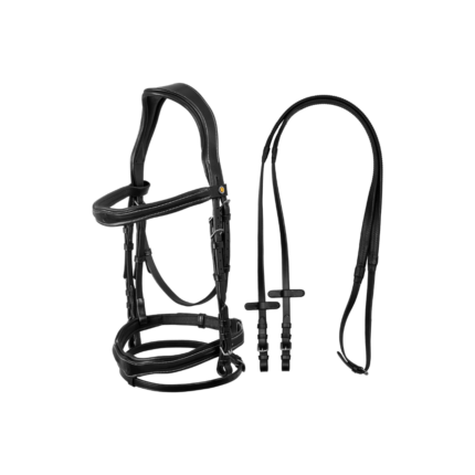 Testiera Equestro anatomica con logo