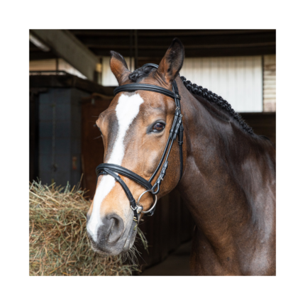 Testiera WINNER softline in morbida pelle con redini in gomma