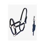 Cavezza e Longhina EQUESTROxFISE