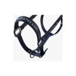 Cavezza e Longhina EQUESTROxFISE