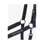 Cavezza e Longhina EQUESTROxFISE