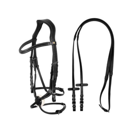 Testiera EQUESTRO messicana anatomica in morbida pelle