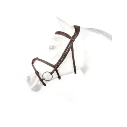 Testiera EQUIPE Messicana con sopracapo ergonomico BR72