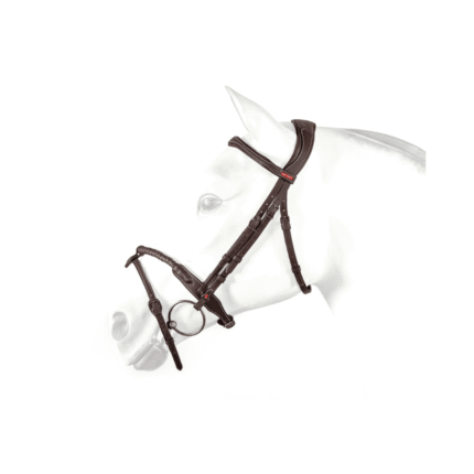 Testiera con capezzina in budello rivestito e sovracapo ergonomico EQUIPE BR73