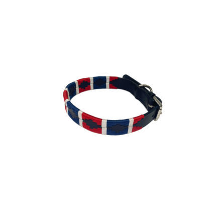 Collare in cuoio per cani