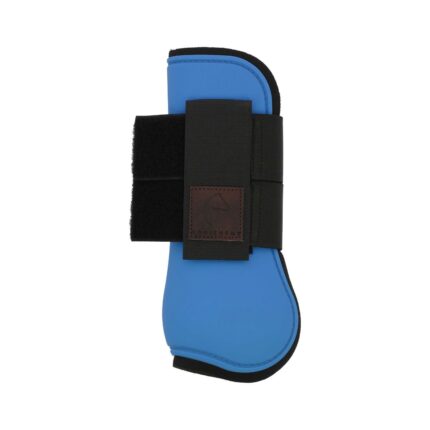 Paratendini EQUITHEME